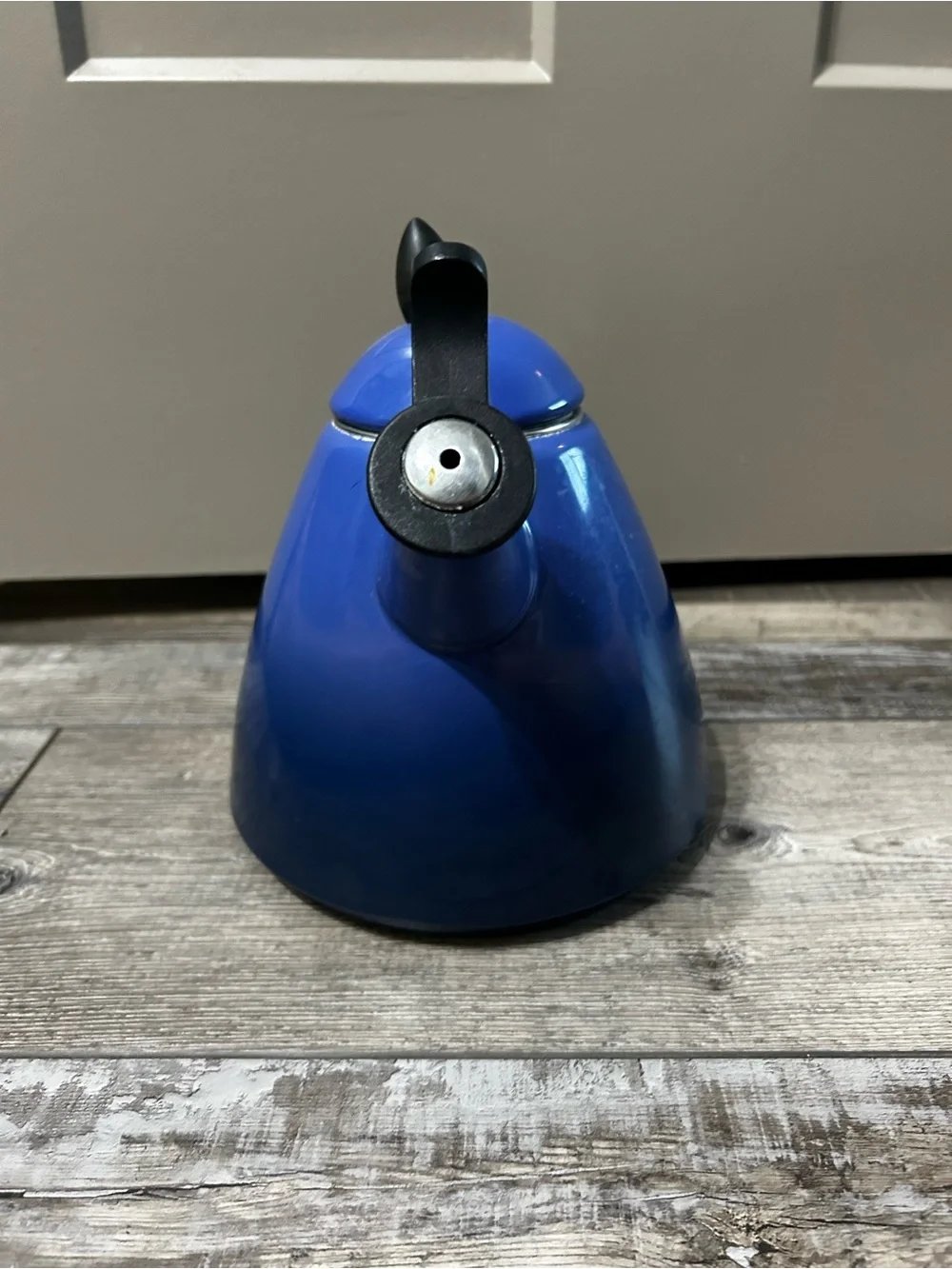 Le Creuset enamel whistling